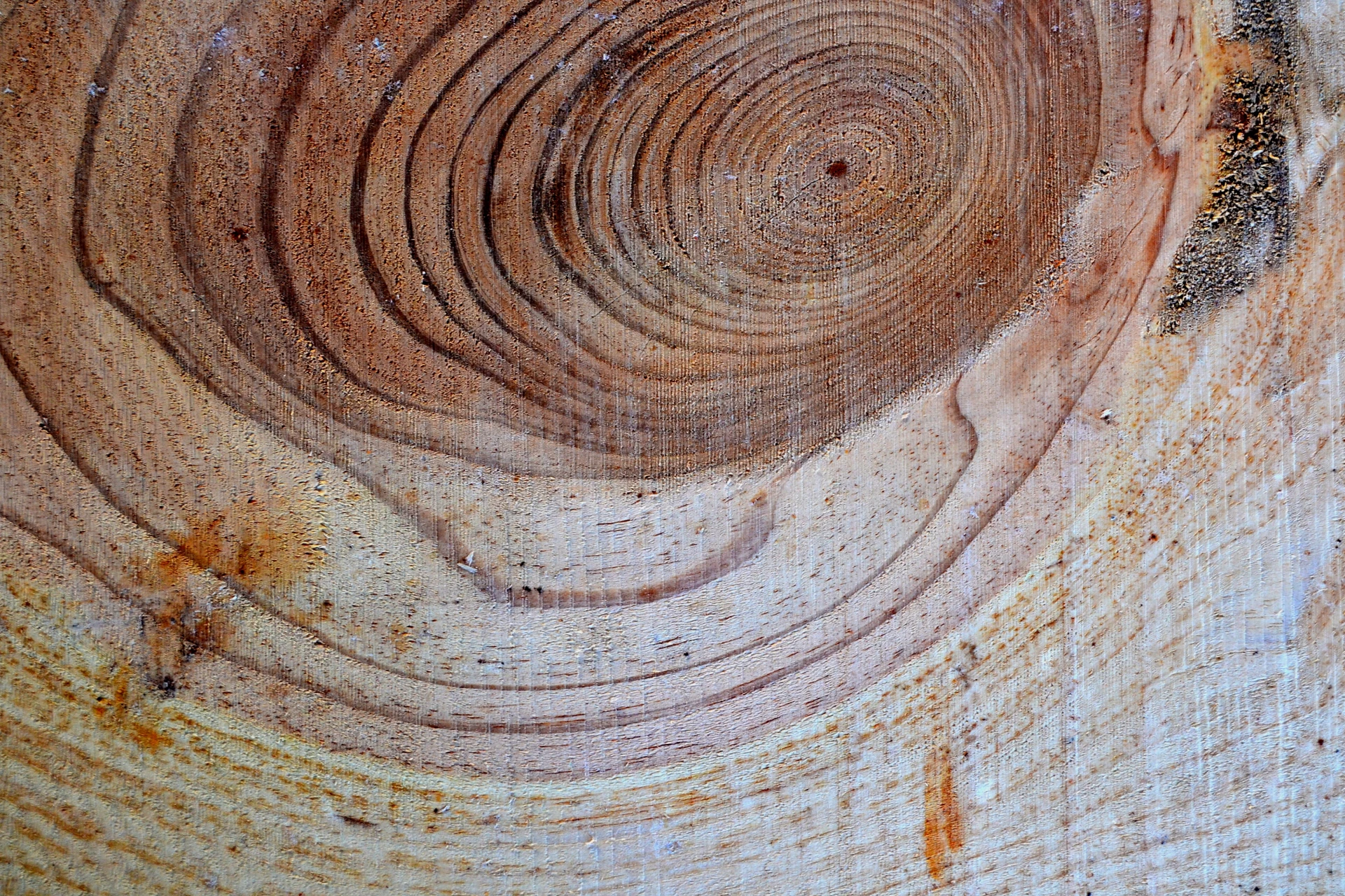 madera de pino para construccion